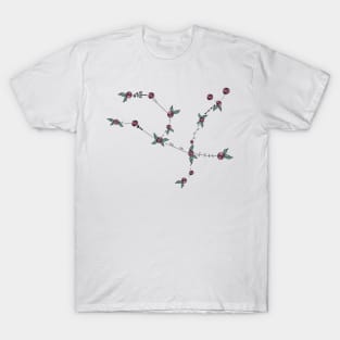 Andromeda (The Chained Maiden or Princess) Constellation Roses and Hearts Doodle T-Shirt